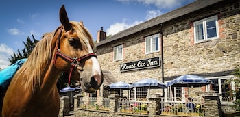 Roast Ox Inn - Hotels with Pet Rooms in Builth Wells