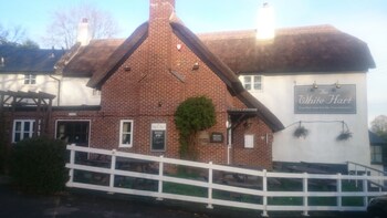 The White Hart Inn - Guest houses with Pet Rooms in Honiton