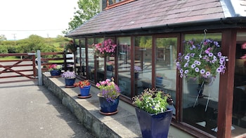 Llangwyryfon Country Breaks - B&Bs with Pet Rooms in Aberystwyth