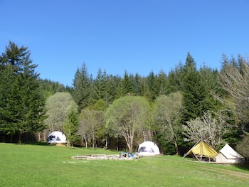 Inver Coille Campsite - Caravan parks with Pet Rooms in Inverness