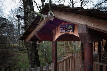 Beaver Creek Lodge - Cabins & lodges with Pet Rooms in Aviemore