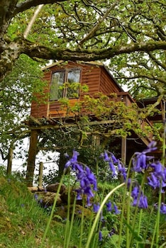 Green Cart Farm - Cabins & lodges with Pet Rooms in Lostwithiel