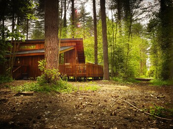 Forest Holidays Thorpe Forest - Cabins & lodges with Pet Rooms in Thetford