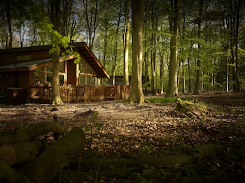 Forest Holidays Blackwood Forest -  with Pet Rooms in Winchester