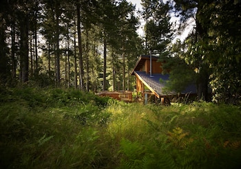 Forest Holidays Sherwood Forest -  with Pet Friendly Rooms in Mansfield