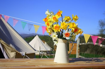 The Forge - Cabins & lodges with Pet Friendly Rooms in Corwen