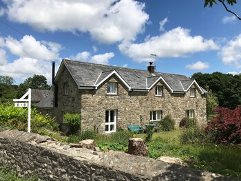 Maesyfelin Isaf - B&Bs with Pet Rooms in Llanybydder