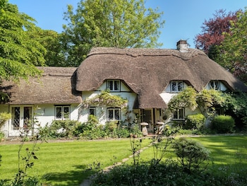 Thatched Eaves - B&Bs with Pet Rooms in Ringwood