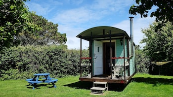 Cornish Cosy Shepherds Hut - Cabins & lodges with Pet Rooms in Helston