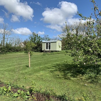 Hillcrest Hut - Cabins & lodges with Pet Rooms in Kilgetty