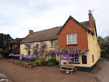 Red Lion - Inns with Pet Rooms in Exeter