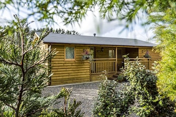 Laurel Lodge - Log Cabin - St Florence - Apartments with Pet Rooms in Tenby