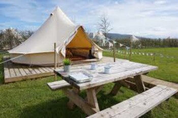 Mellow Yellow Bell Tent - Family Zone - Caravan parks with Pet Rooms in Richmond