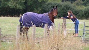 New Barn Farm - Canvas Lodge - Plus - Holiday homes with Pet Rooms in Bedford