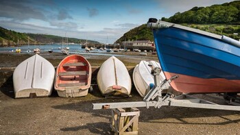 Moon River - Holiday homes with Pet Friendly Rooms in Goodwick