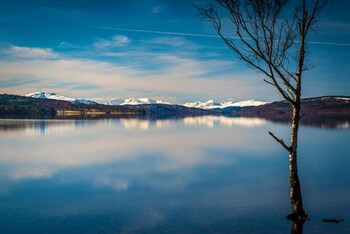 Loch Rannoch Highland Club Lochside Lodge 2 - Holiday homes with Pet Rooms in Pitlochry