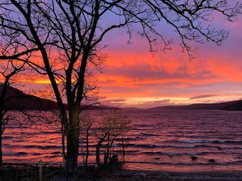 Loch Rannoch Highland Club Red Deer 8 - Holiday homes with Pet Friendly Rooms in Pitlochry