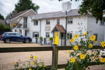 Cottage Lodge Hotel - Hotels with Pet Rooms in Brockenhurst