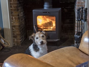 Black Bull Hotel - Hotels with Pet Rooms in Lauder