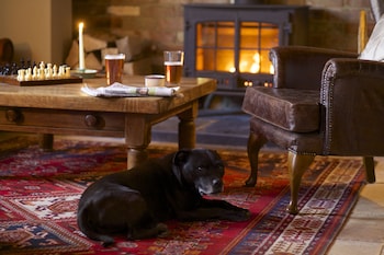 Crab & Boar - Inns with Pet Rooms in Newbury