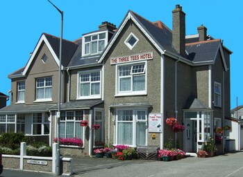 The Three Tees - Guest houses with Pet Friendly Rooms in Newquay