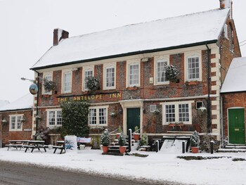 Antelope Inn - Inns with Pet Rooms in Pewsey