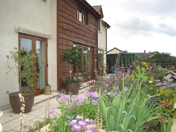 Cames Mead B&b Meare Green Farm - B&Bs with Pet Rooms in Taunton