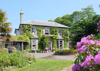 The Horn Of Plenty - Hotels with Pet Rooms in Tavistock