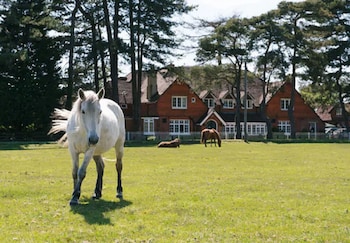 Beaulieu Hotel - Hotels with Pet Rooms in Brockenhurst