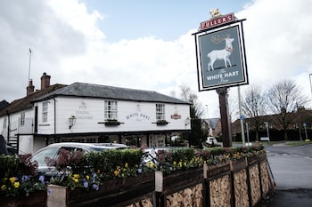 The White Hart - Inns with Pet Rooms in Stockbridge