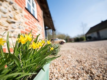 Dickleburgh Crown - B&Bs with Pet Friendly Rooms in Diss