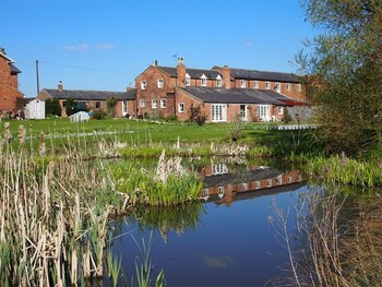 Thistledown House B&b - B&Bs with Pet Rooms in York