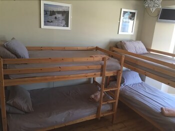 Smarties Surf Lodge - B&Bs with Pet Friendly Rooms in Newquay