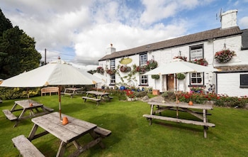 The Elephant's Nest Inn - Inns with Pet Rooms in Tavistock