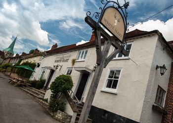 The White Hart, South Harting - Inns with Pet Rooms in Petersfield