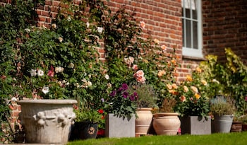 Goss Hall Bed & Breakfast - B&Bs with Pet Rooms in Canterbury