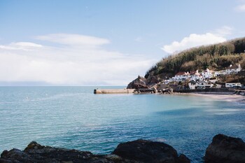 Cary Arms - Hotels with Pet Friendly Rooms in Torquay