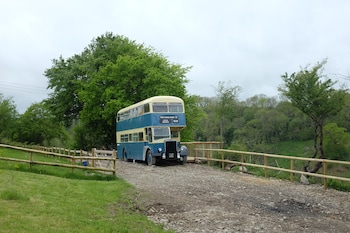 Ceridwen Glamping, Double Decker Bus And Yurts - Caravan parks with Pet Rooms in Llandysul