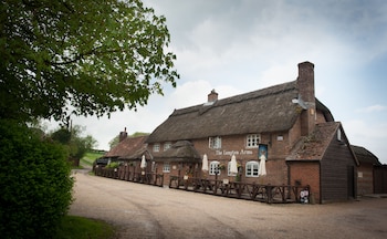 The Langton Arms - Inns with Pet Rooms in Blandford Forum