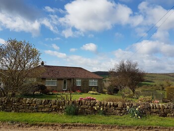 Woodpeckers Cottage - Cottages with Pet Rooms in Scarborough