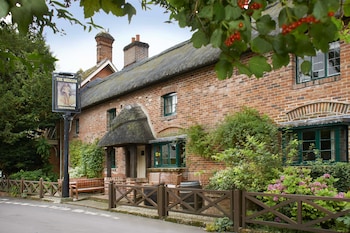 The Museum Inn - Hotels with Pet Rooms in Blandford Forum