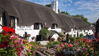 The Cott Inn - Inns with Pet Rooms in Totnes