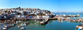 Harbour View - B&Bs with Pet Rooms in Brixham