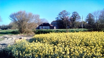 Copper Beeches Accomodation - Guest houses with Pet Rooms in Petersfield