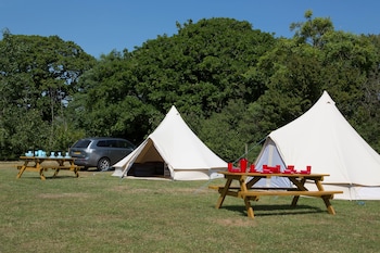 Herston Caravan & Campsite - Caravan parks with Pet Rooms in Swanage