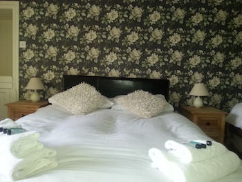 Red Lion Hotel - Hotels with Pet Rooms in Tregaron