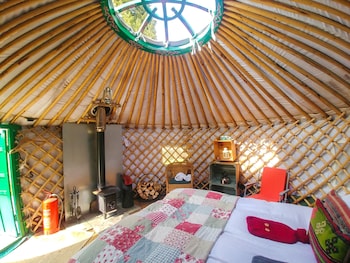 Bamff Ecotourism -  with Pet Rooms in Blairgowrie