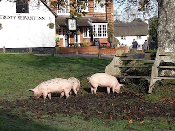 The Trusty Servant - Inns with Pet Rooms in Lyndhurst