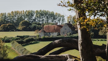 Wickham Manor - Guest houses with Pet Rooms in Winchelsea