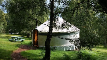 Aspen Yurt - Campsite - Caravan parks with Pet Rooms in Fortrose